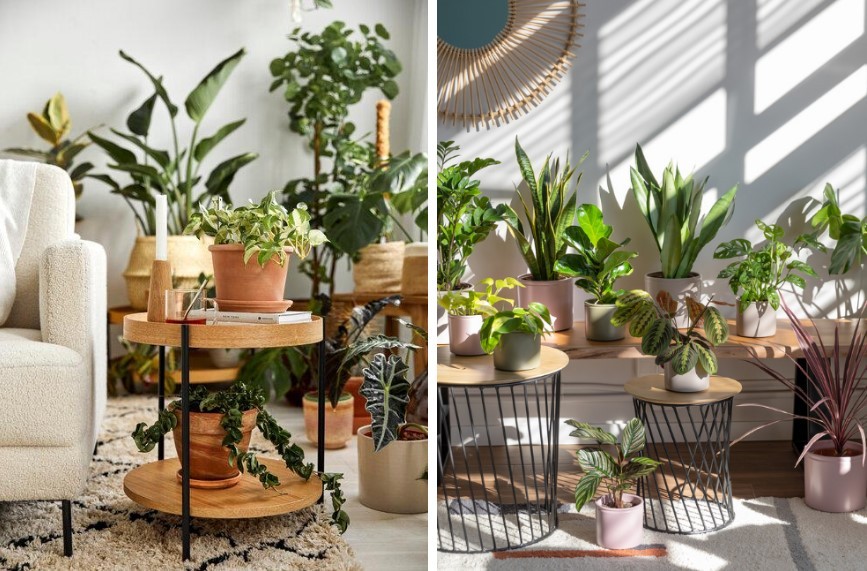 jardin-interior